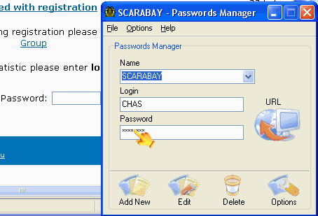 Screenshot of SCARABAY